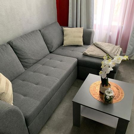 Exklusive Stadtwohnung Am Elbradweg: Best-Preis-Fewo Rathausblick 1 Fuer Max. 3 Pers. Inkl. Wlan, Prime Video & Self Check-In 비텐베르게 외부 사진